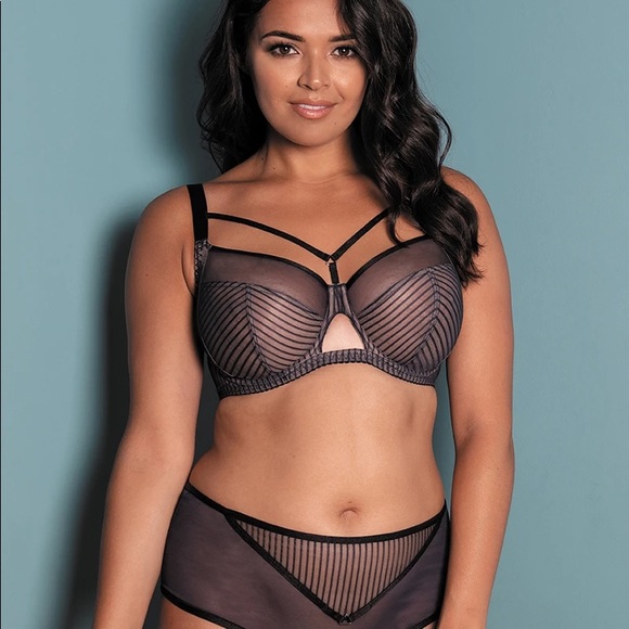 Curvy Kate Other - Curvy Kate Victory Pin-up slate and black 34G/GG